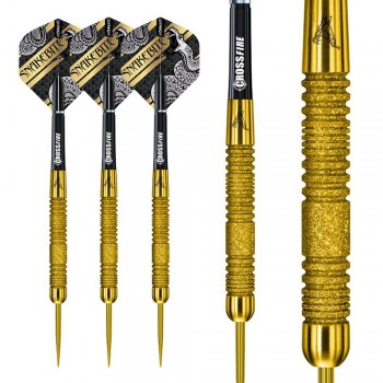 Steeldart Peter Wright Euro 11 Element Gold 24g