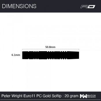 Softdart Peter Wright Euro 11 Element Gold 20g