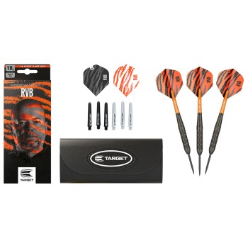 Steeldart Target Raymond van Barneveld Brass Set, 22g