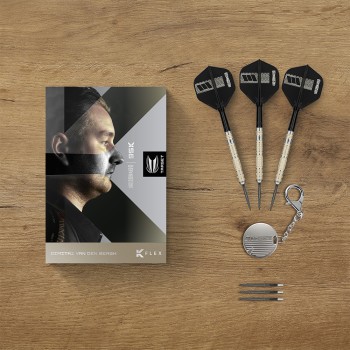Steeldart Target Dimitri Van den Bergh 95K, 22g