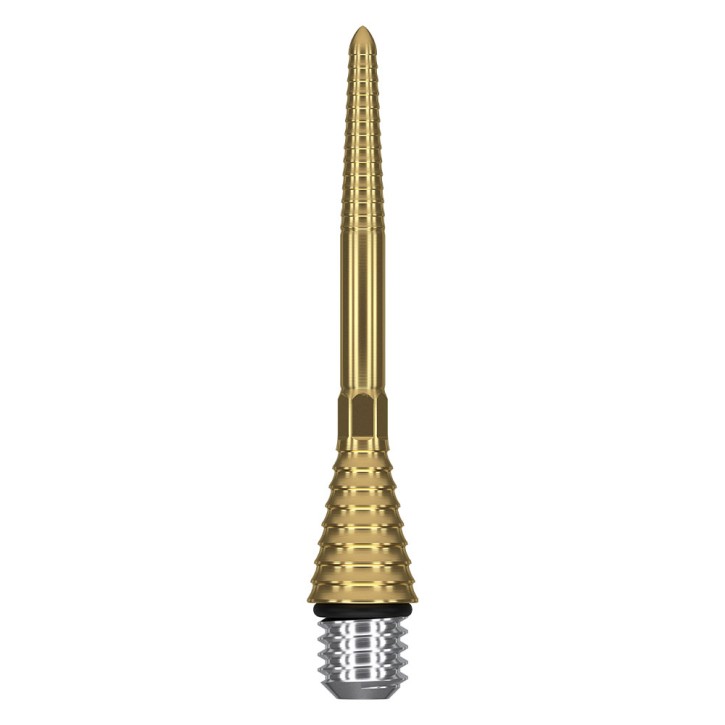 Metallspitzen Target Grooved SP 30mm, gold