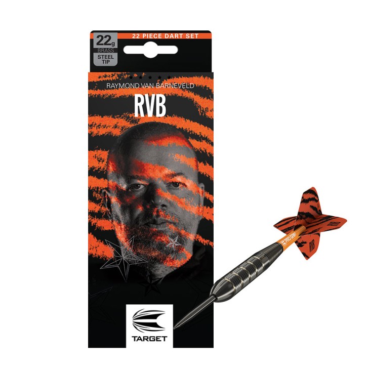 Steeldart Target Raymond van Barneveld Brass Set, 22g